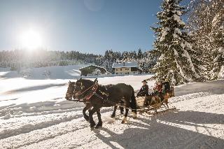Dachsteinresort fotoÄŸrafÄ±
