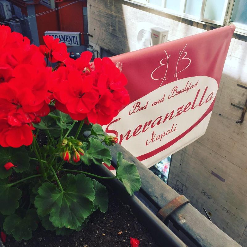 B&B Speranzella - Genel