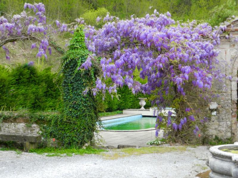 Villa Bertagni - Genel