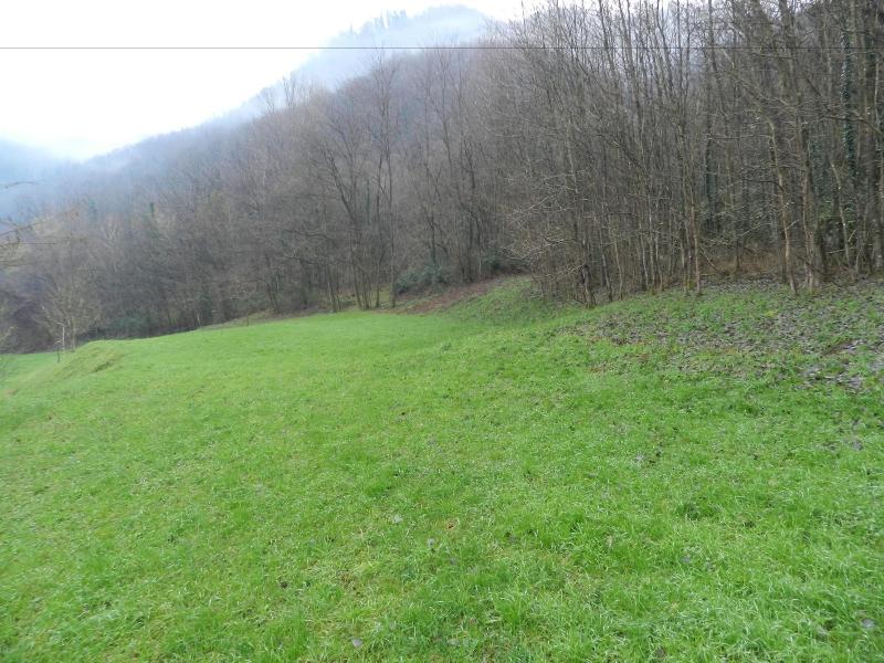 Villa Bertagni - Genel