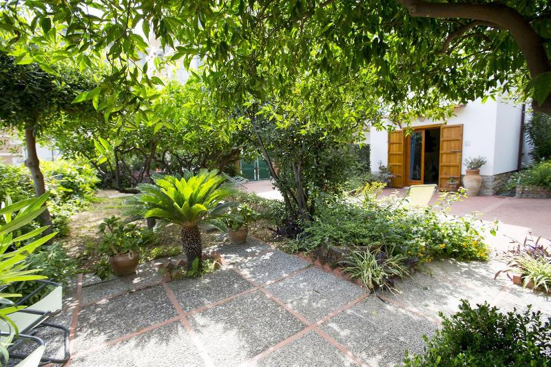 Lumachella B&B - Genel