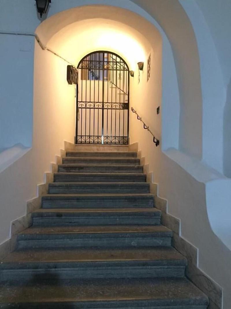 B&B Lumasa - Genel