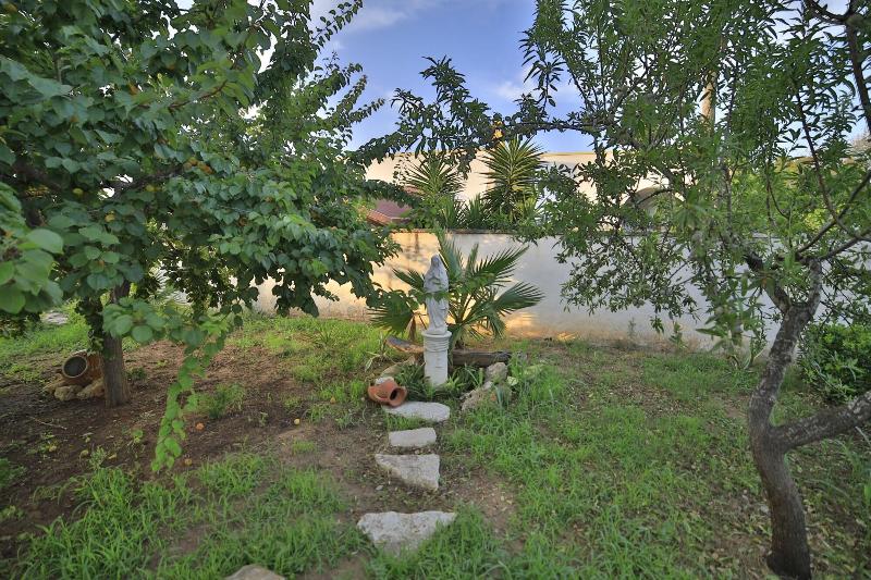 Villa Musella - Genel