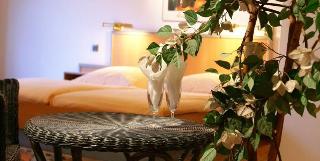 Hotel Buschhausen fotoÄŸrafÄ±