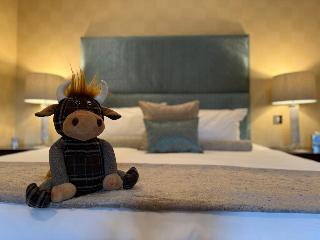 Airds Hotel fotoÄŸrafÄ±