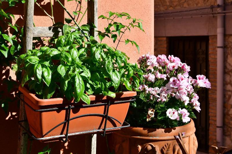 B&B Casa Cifali - Genel