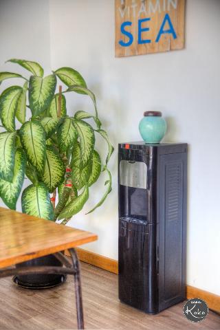 Casa Koko fotoÄŸrafÄ±
