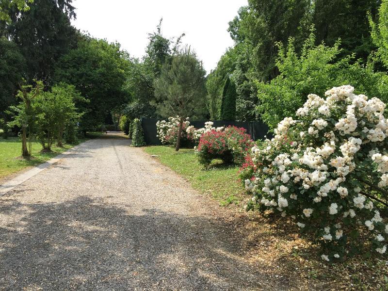 Ca' Marsure B&B - Genel