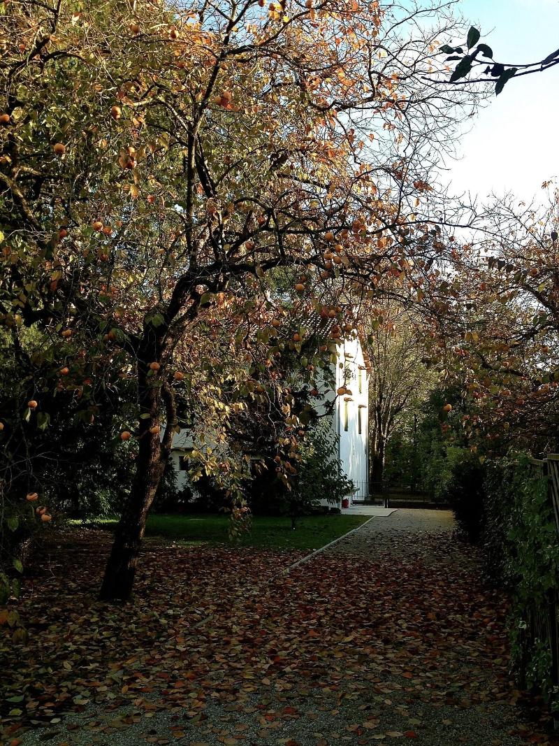 Ca' Marsure B&B - Genel