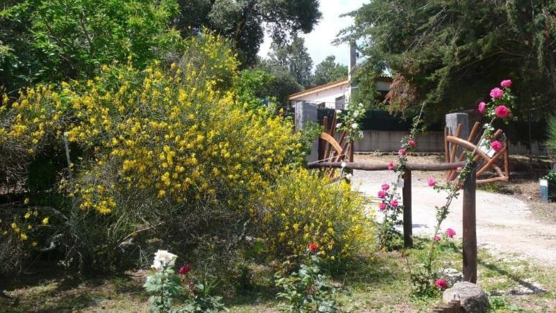 Casa Solotti - Genel