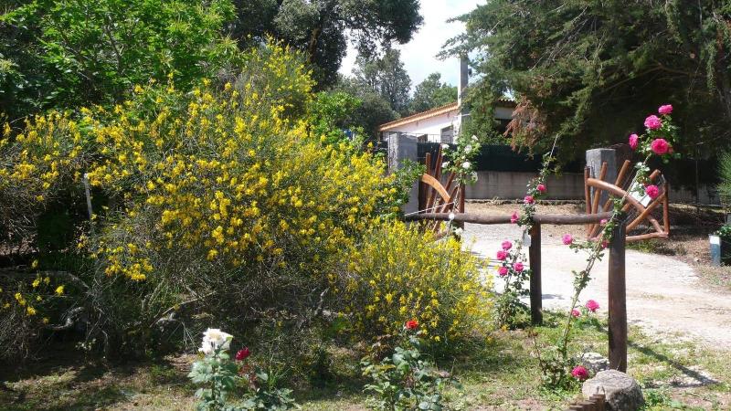 Casa Solotti - Genel