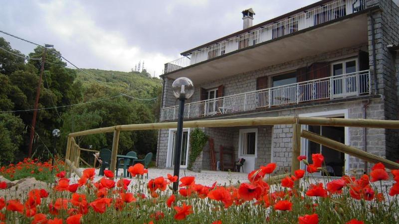 Casa Solotti - Genel