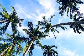 Chaweng Buri Resort fotoÄŸrafÄ±
