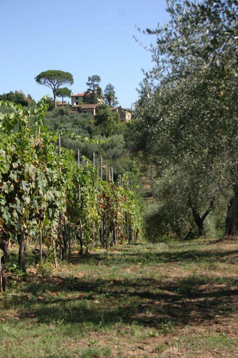 Casa Fontanino - Genel