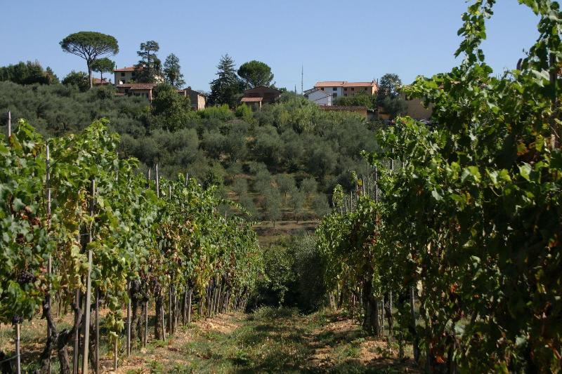 Casa Fontanino - Genel