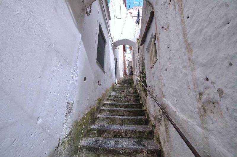 Casa Mao - Genel