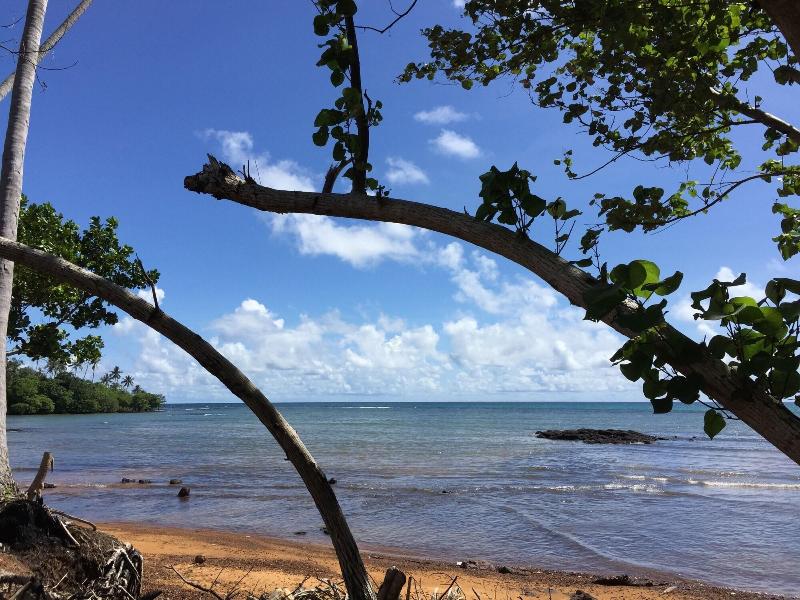 Naivacha Tent Koh Mak - Genel