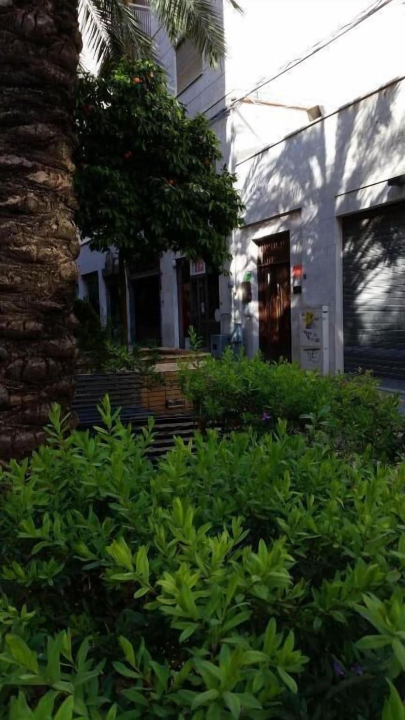 B&B Casa Rosellina - Genel