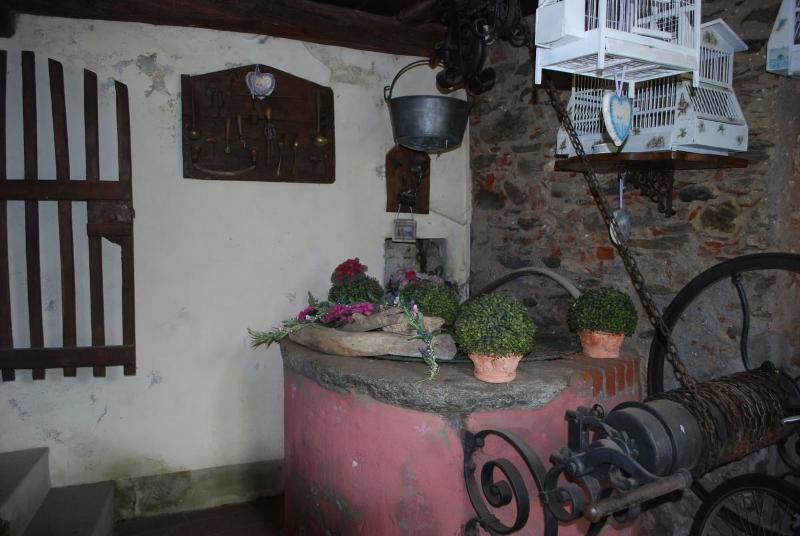 La Curandera - Genel