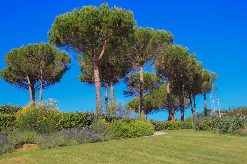 Cavarchino B&B - Genel