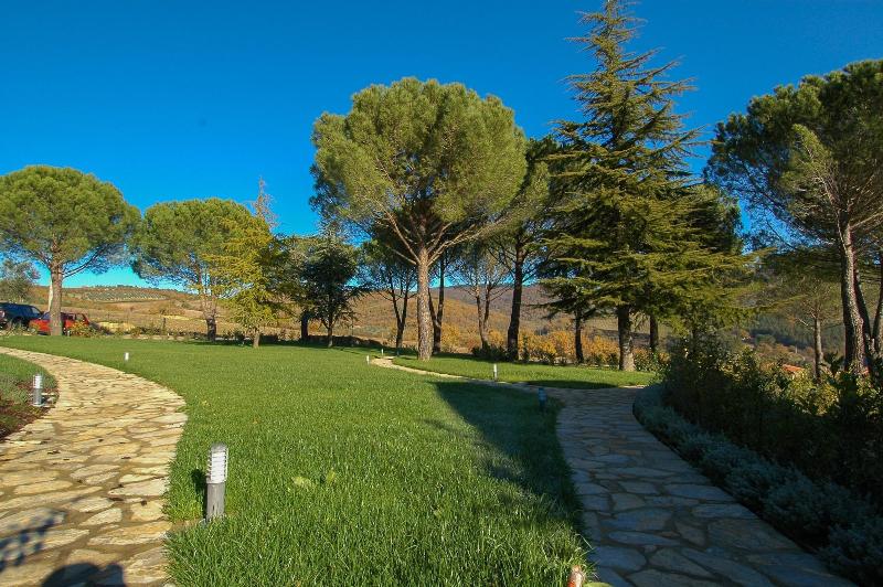 Cavarchino B&B - Genel