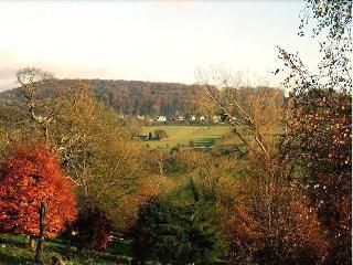 Tibbiwell Lodge - B&B fotoÄŸrafÄ±