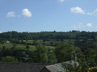 Tibbiwell Lodge - B&B fotoÄŸrafÄ±