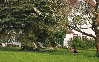 Villa Italia fotoÄŸrafÄ±