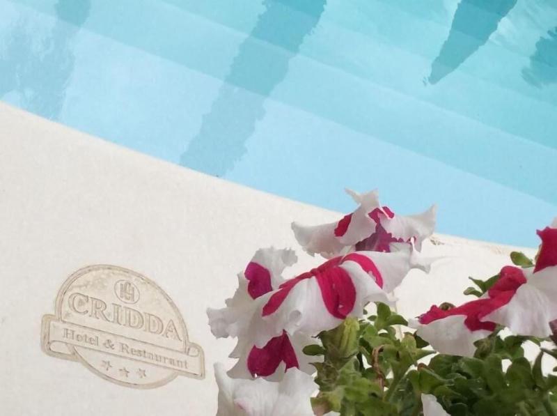Hotel Cridda - Aktivite