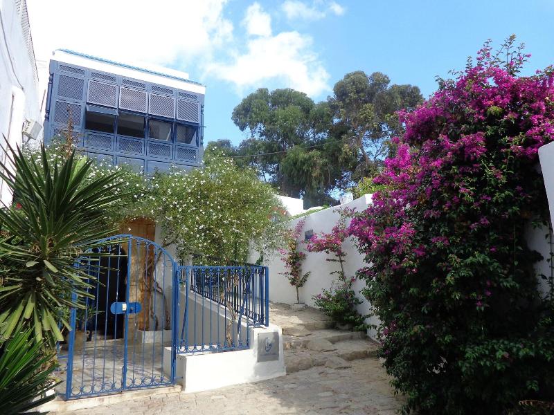 Dar Fatma - Genel