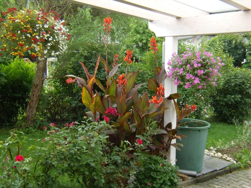 Wellnesshaus Waldmunchen - Genel