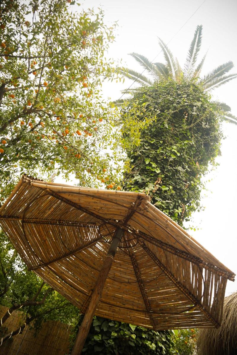 Villa Les Palmes - Bar