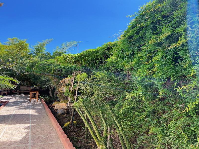Villa Les Palmes - Genel
