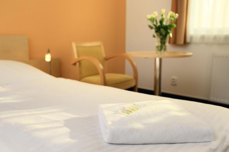 Penzion Krumlov - B&B Hotel - Oda