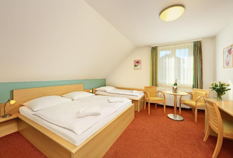 Penzion Krumlov - B&B Hotel - Oda