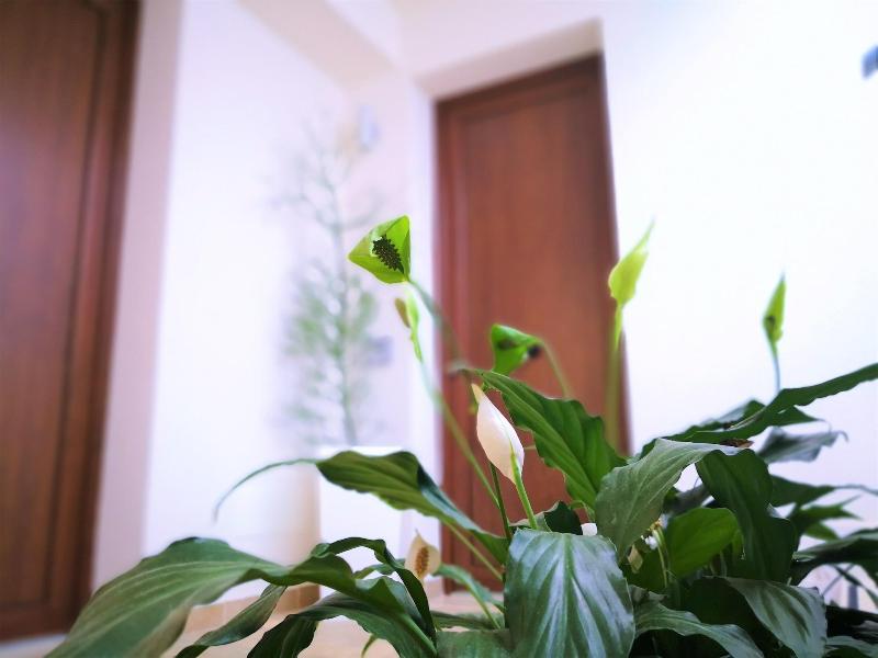 Hotel Perla Gaia - Lobi