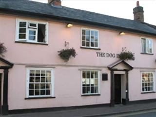 The Dog Inn otel fotoğrafı