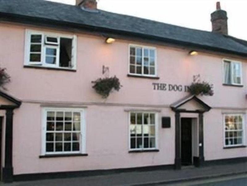 The Dog Inn - Genel