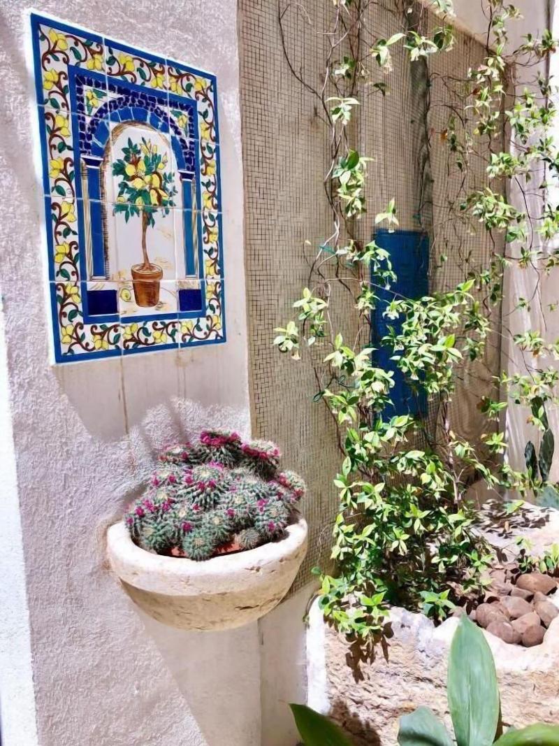 Cortile Sant'Agostino - Genel