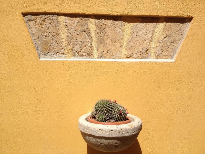 Cortile Sant'Agostino - Genel