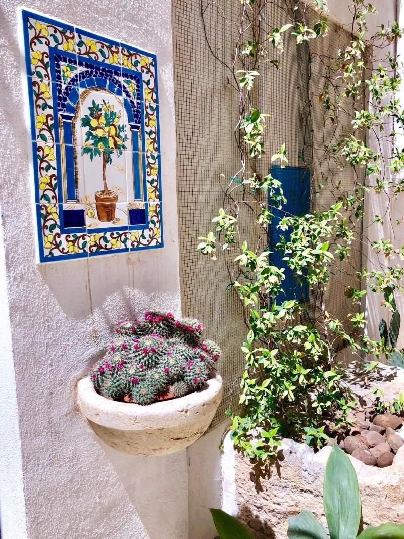Cortile Sant'Agostino - Genel