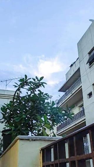 Nitocrisse Hotel fotoÄŸrafÄ±