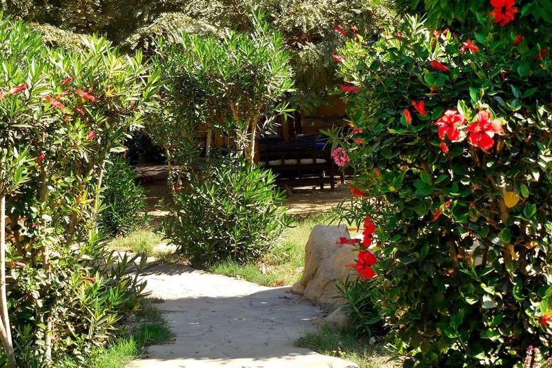 Hotel Sheherazade - Genel