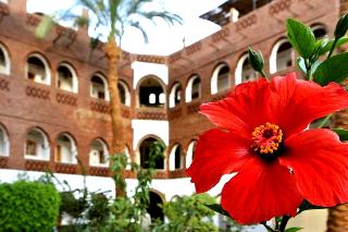 Hotel Sheherazade fotoÄŸrafÄ±