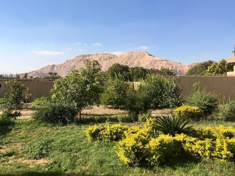 New Memnon Hotel - Genel
