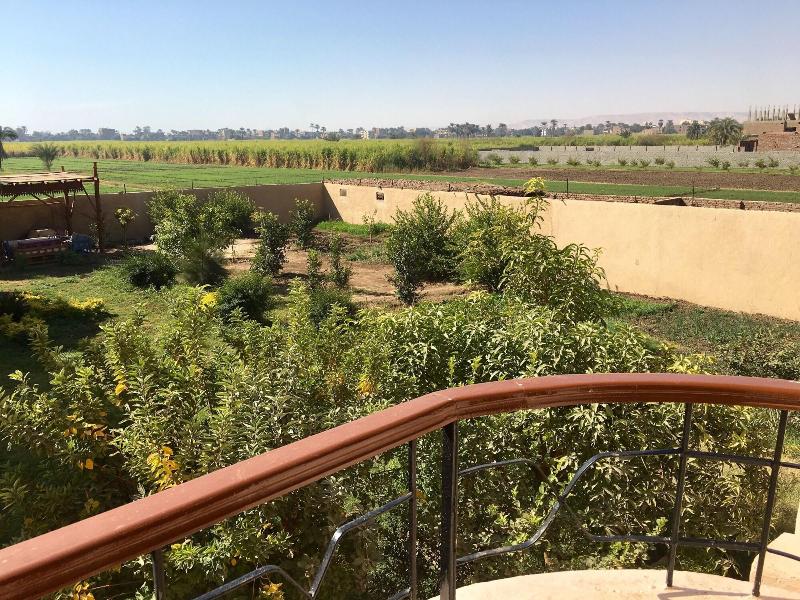 New Memnon Hotel - Oda