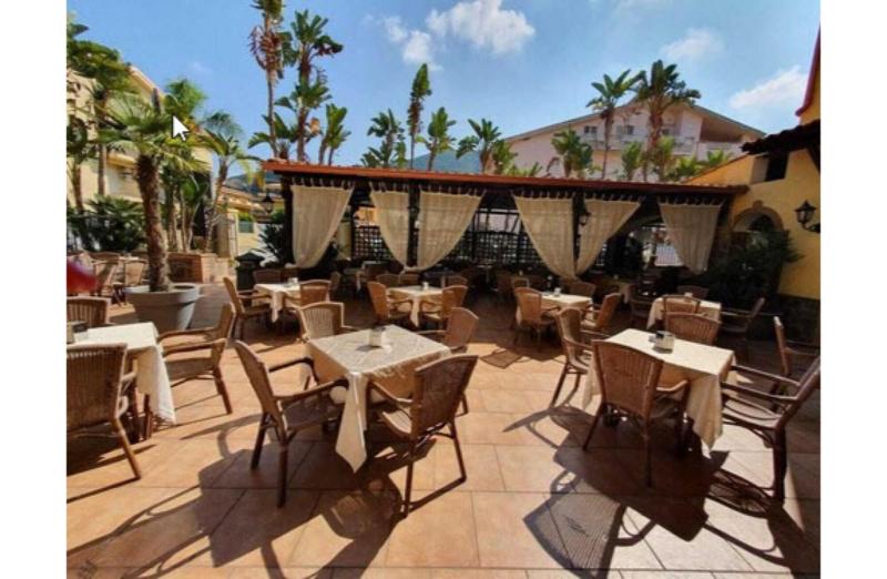 PuertoSeguro B&B TartufoExperience - Teras