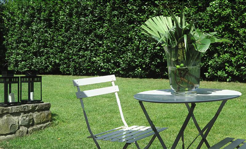 Duchess Boutique Hotel B&B - Genel
