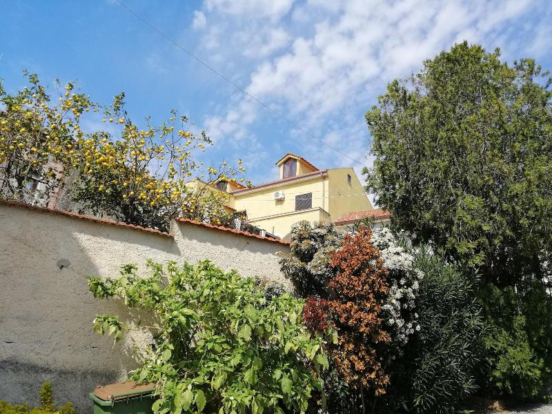 B&B Moscani - Genel