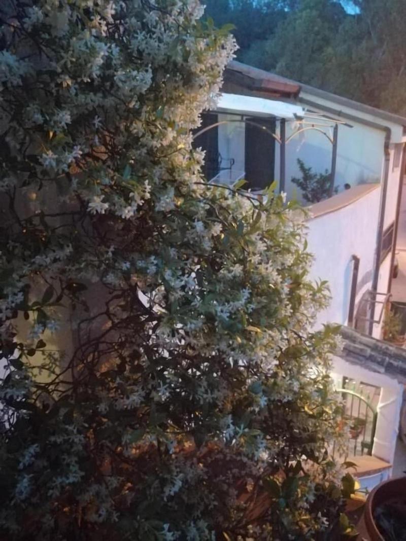 B&B Moscani - Genel